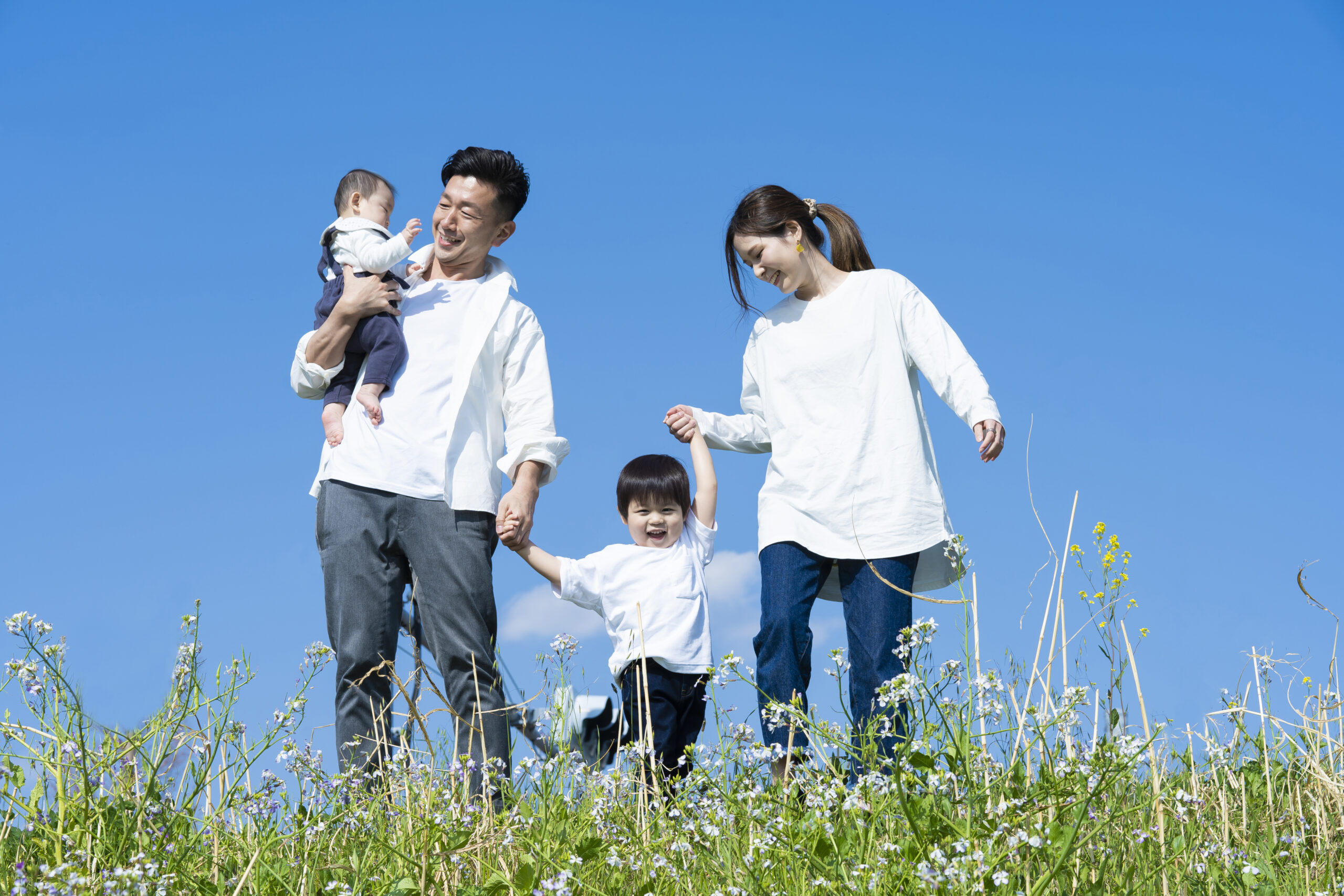 これはテストの投稿です。