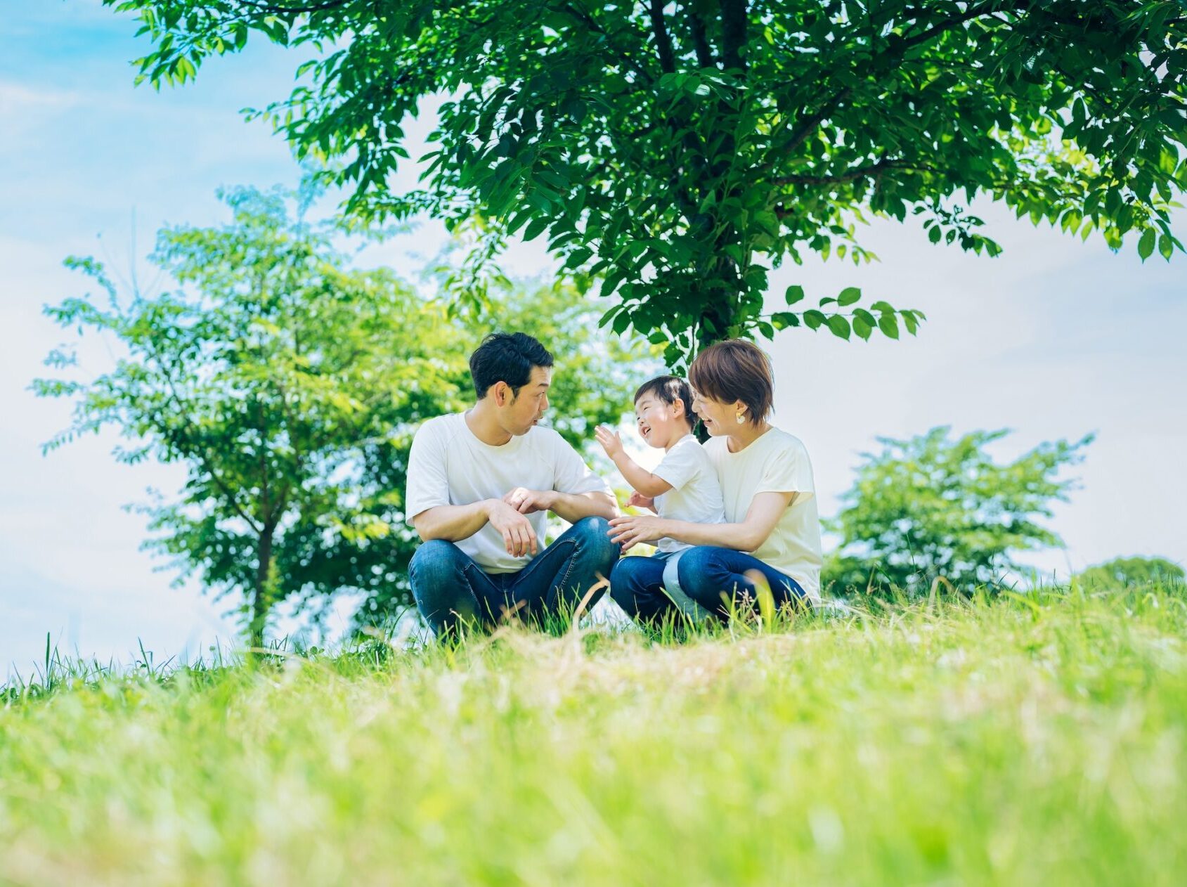 これはテストの投稿です。